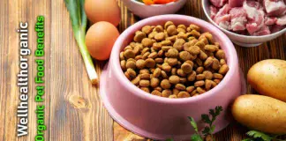 wellhealthorganic organic pet food benefits