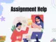 Assignment Help Services