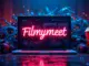 Filmymeet com