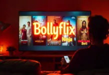 Bollyflix Ninja