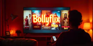 Bollyflix Ninja