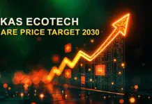 Vikas Ecotech share price target 2030