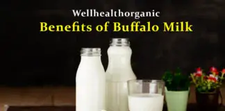 wellhealthorganic benefits of buffalo milk