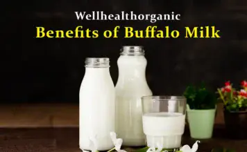 wellhealthorganic benefits of buffalo milk