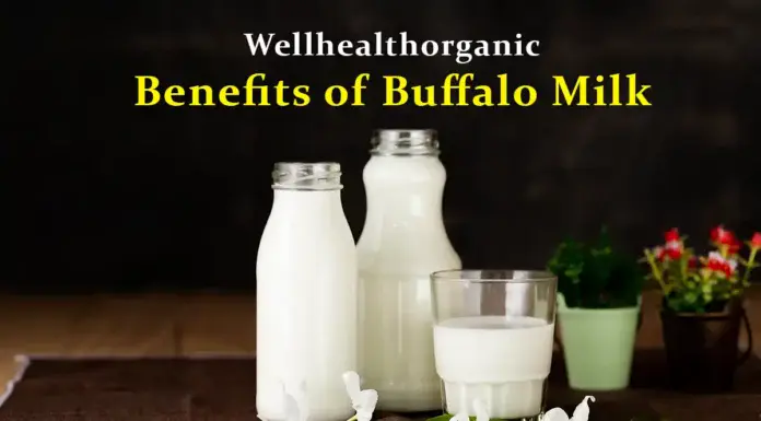 wellhealthorganic benefits of buffalo milk