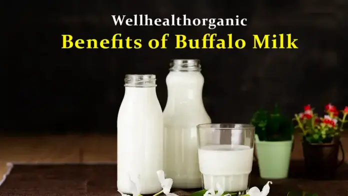 wellhealthorganic benefits of buffalo milk