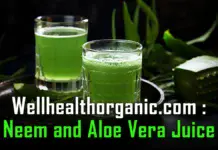 wellhealthorganic.com : neem and aloe vera juice