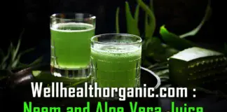 wellhealthorganic.com : neem and aloe vera juice