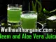 wellhealthorganic.com : neem and aloe vera juice