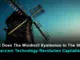 What does the windmill symbolize in the story? Marxism Technology Revolution Capitalism