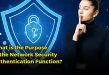 what is the purpose of the network security authentication function?