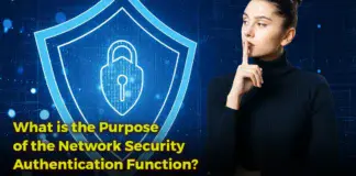 what is the purpose of the network security authentication function?