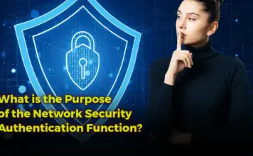 what is the purpose of the network security authentication function?