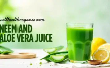 wellhealthorganic.com : neem and aloe vera juice
