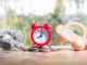 Seasonal Saving How to Time Your Purchases for Maximum Discounts