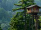 Taebaek