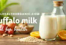 wellhealthorganic.com : buffalo milk good for health