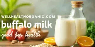 wellhealthorganic.com : buffalo milk good for health