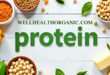 Wellhealthorganic.com protein