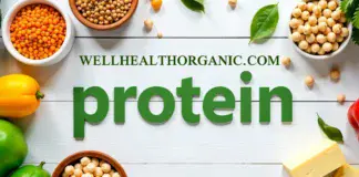 Wellhealthorganic.com protein