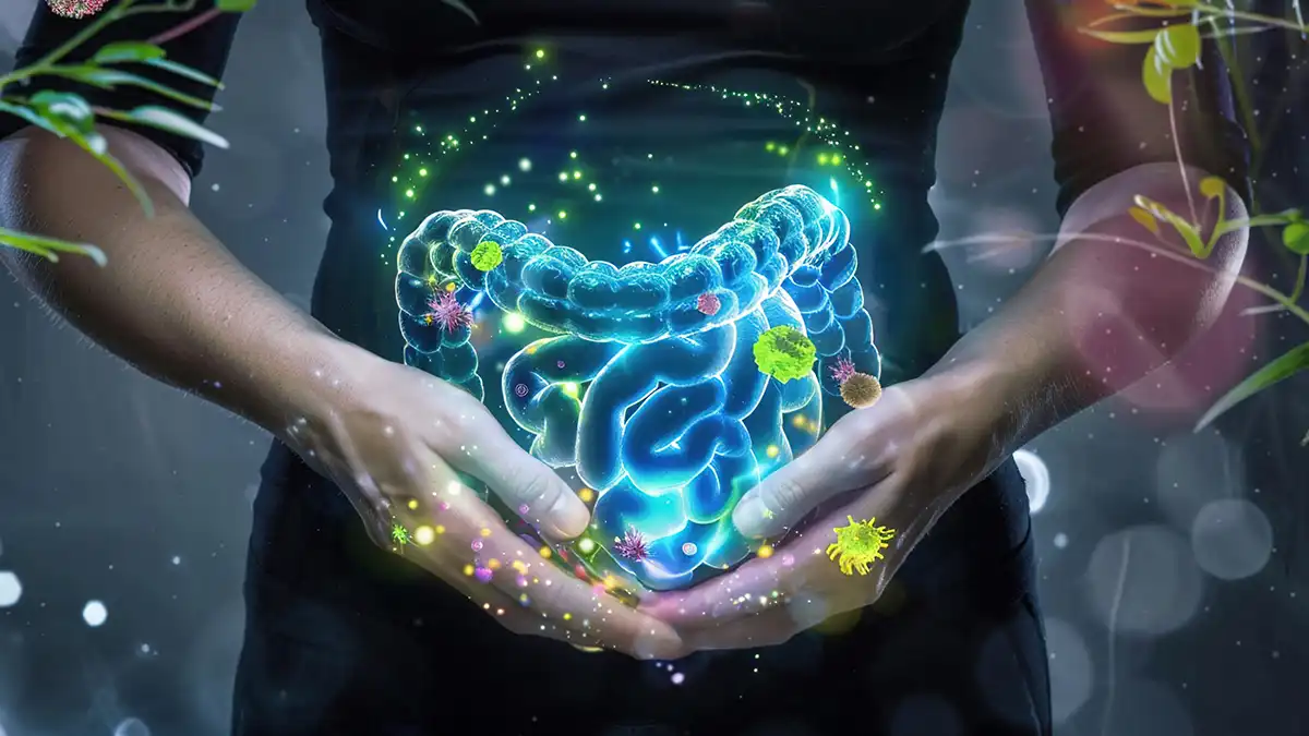 The Surprising Connection Between Gut Health and Autoimmune Diseases ...